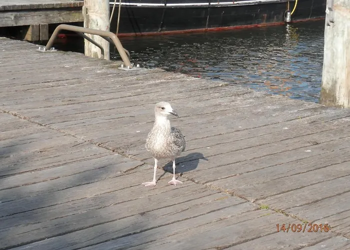 Ferienwohnung Marta Hotel